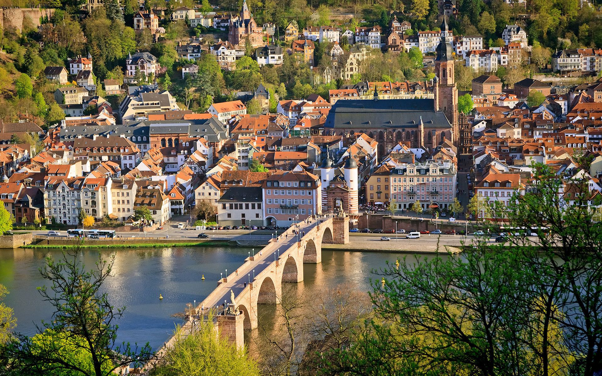 Black Forest-AD2023-018-2