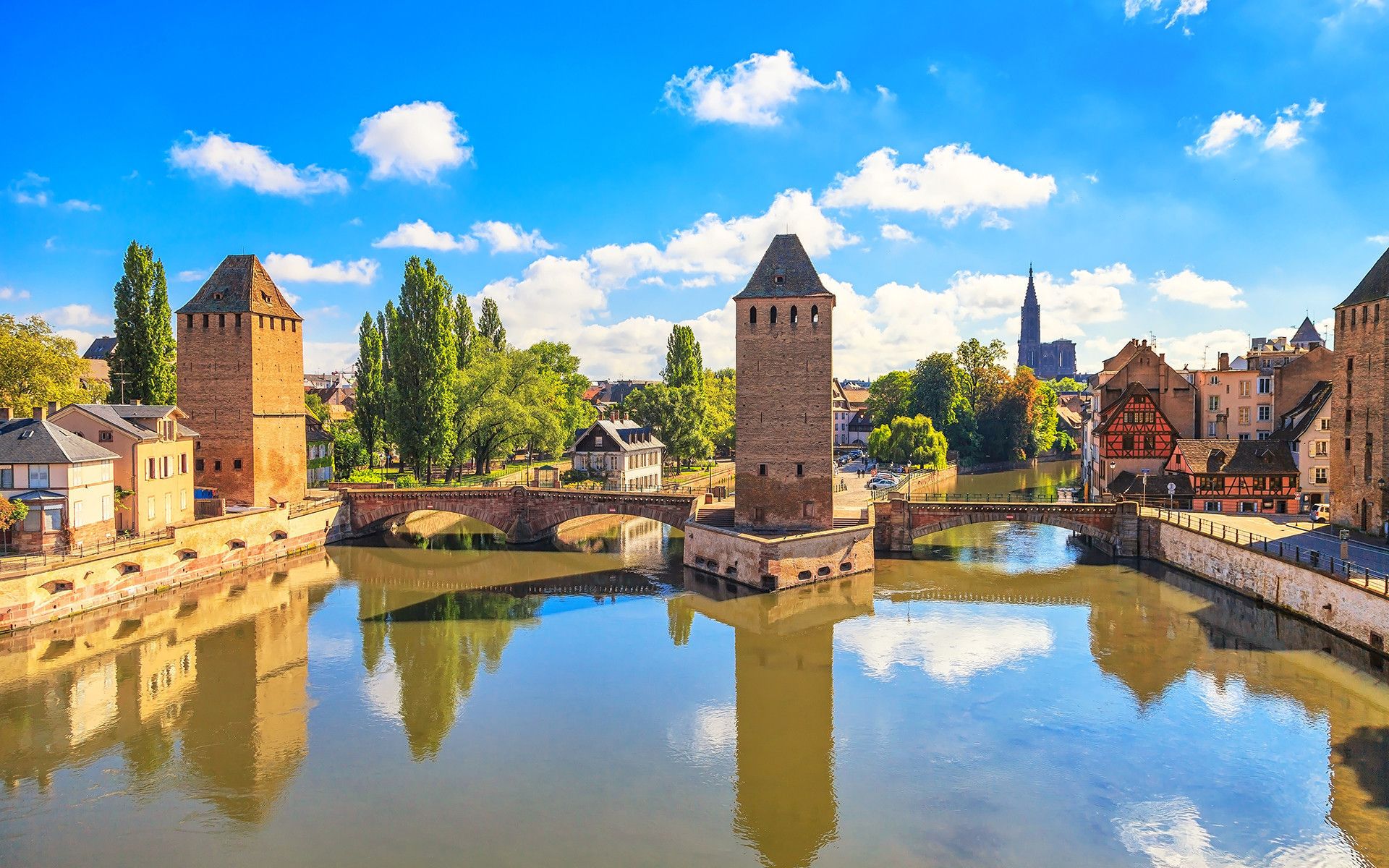 Black Forest-AD2023-018-4