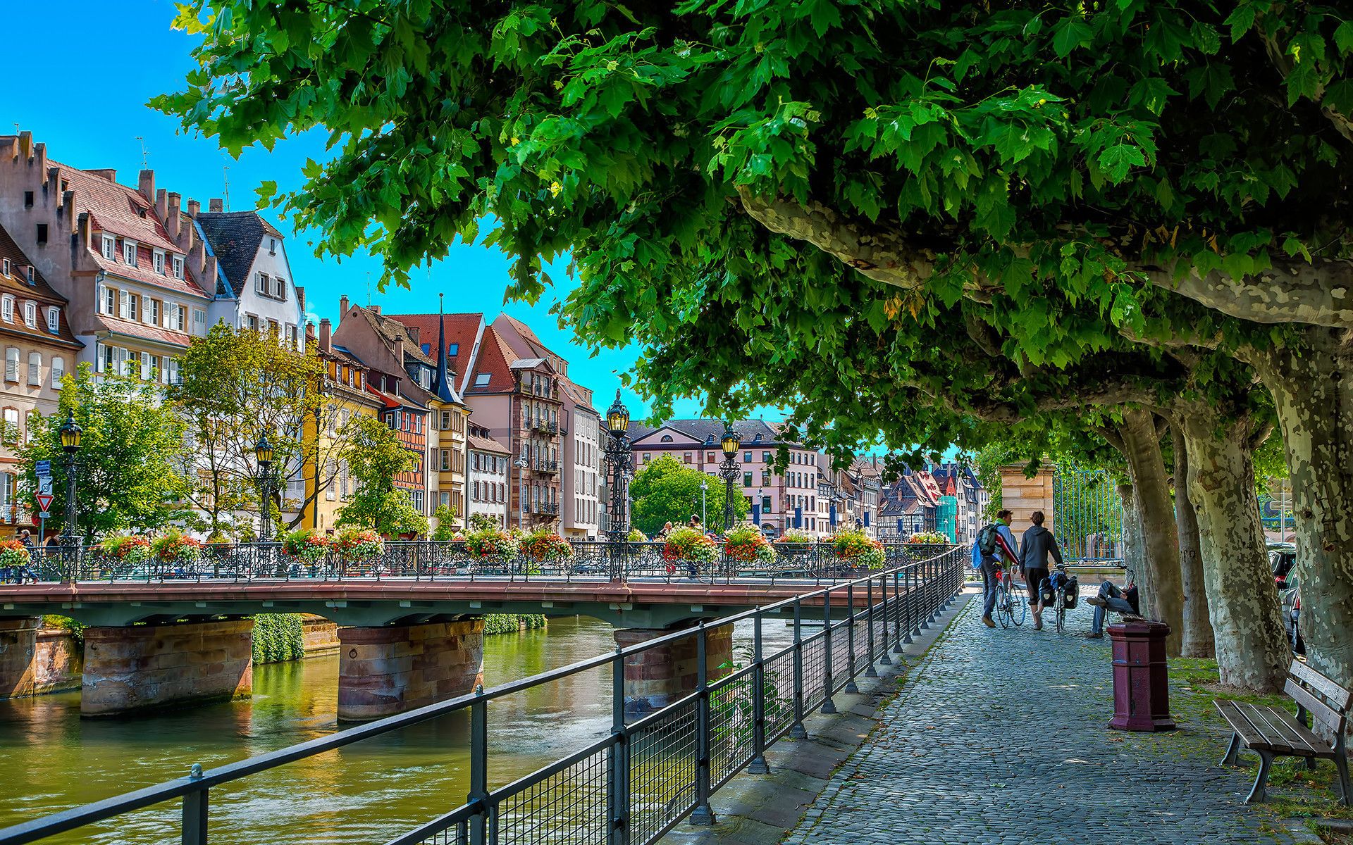 Black Forest-AD2023-018-7