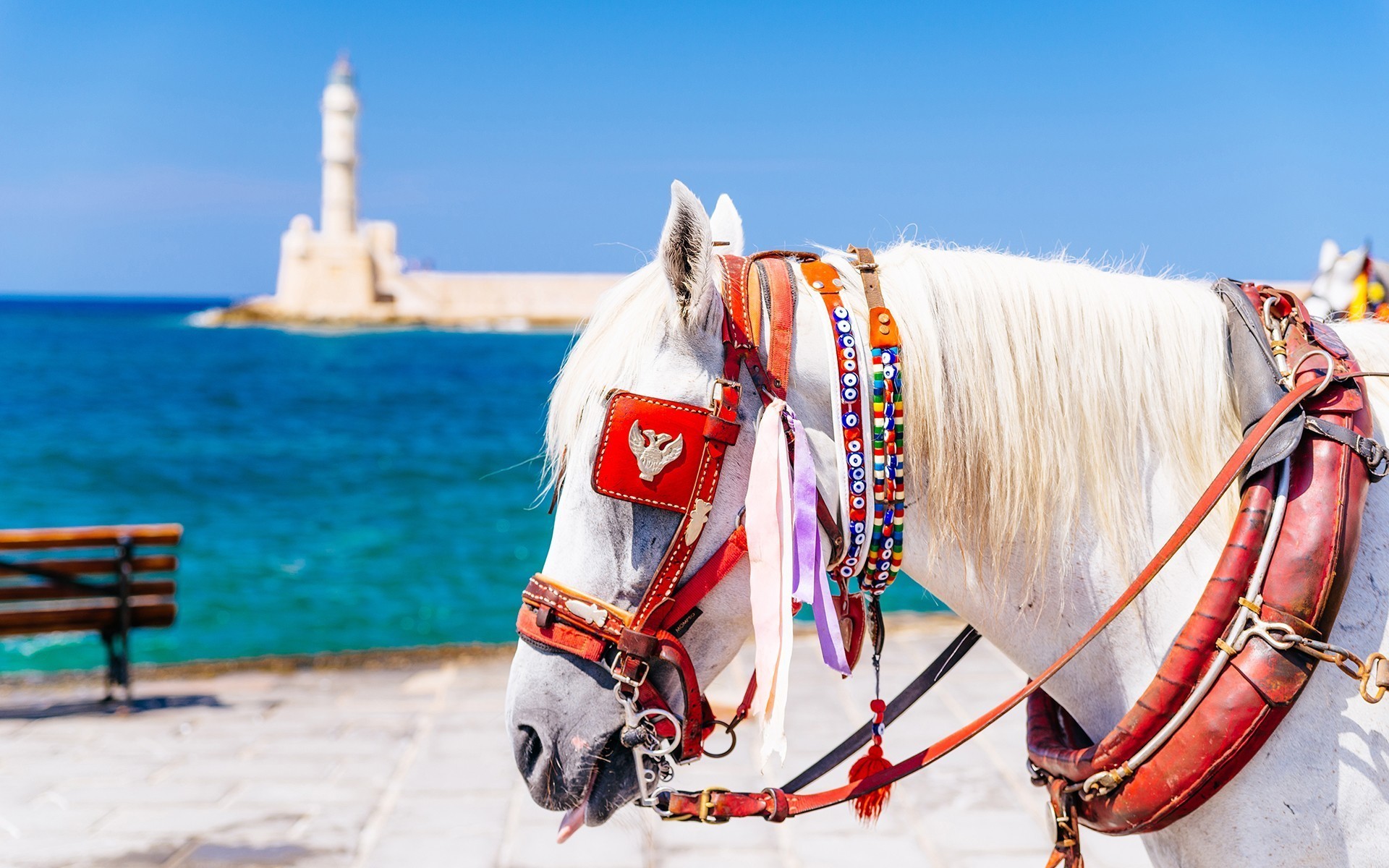 Chania-AD2023-025-5
