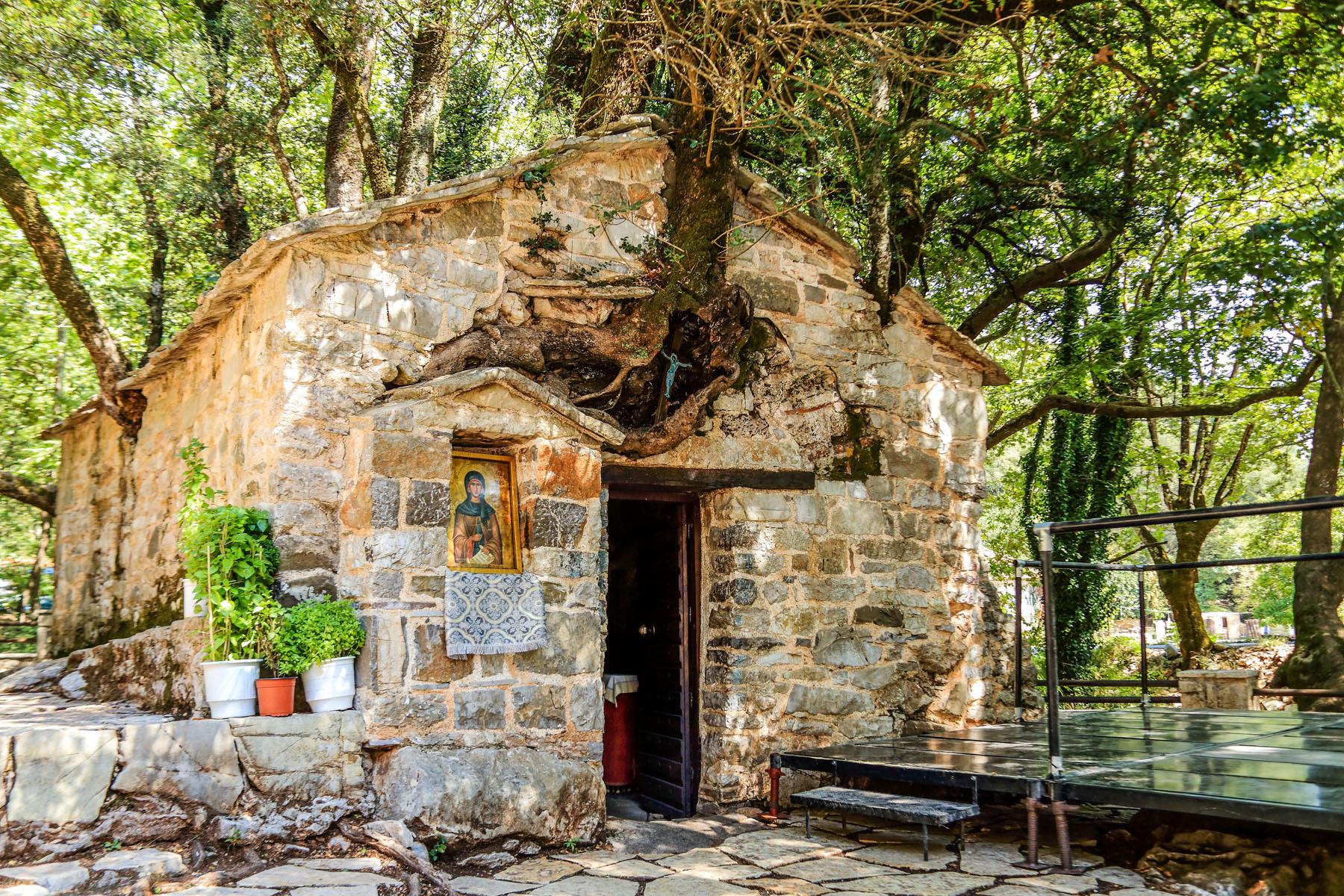 imerisia-AD2023-054-1