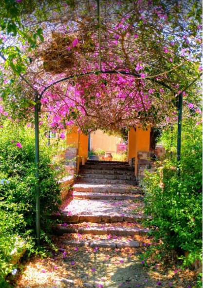 greek-islands-AD2023-121